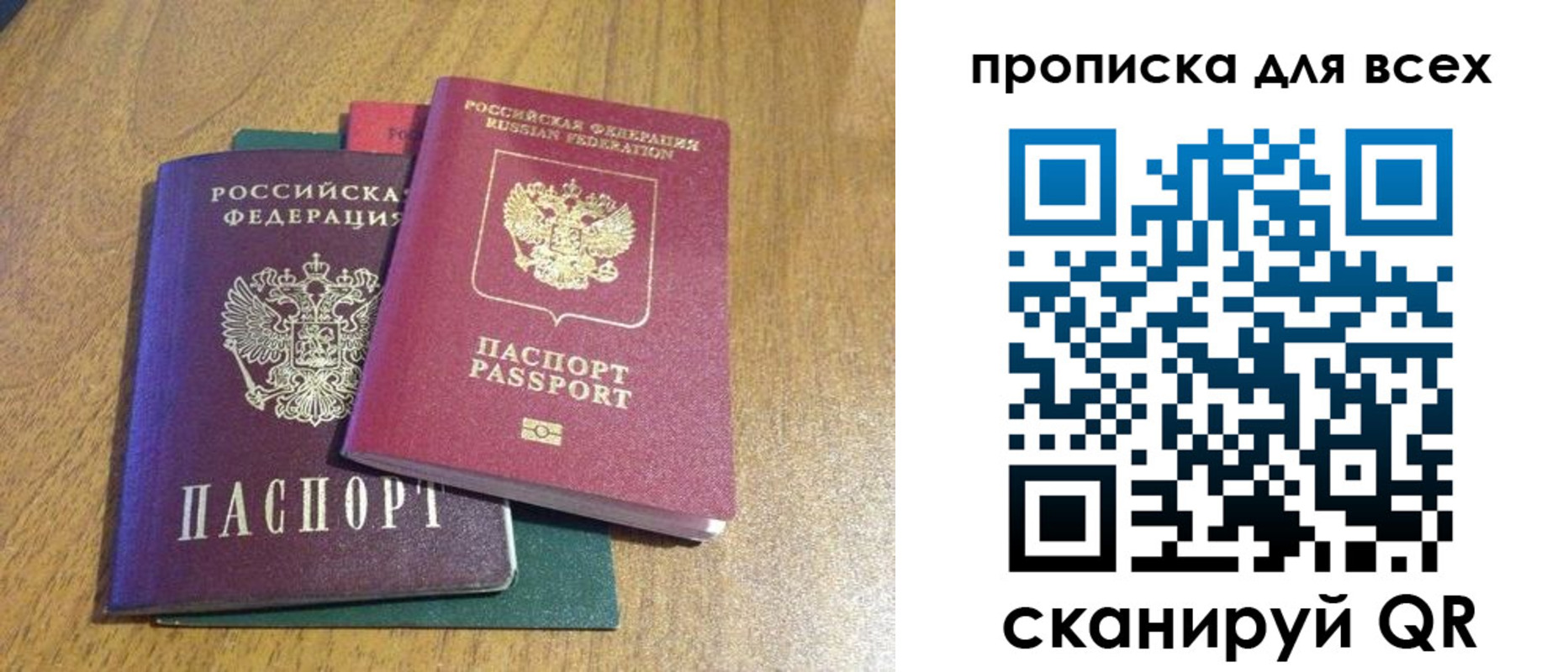 прописка гарантия в Ртищево
